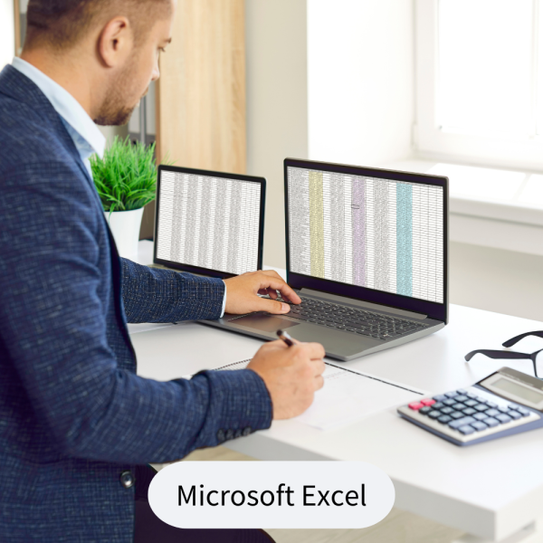 Microsoft Excel - Pivot-Tabellen